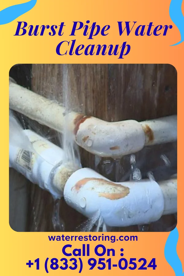 Burst Pipe Water Cleanup in West Jefferson, OH