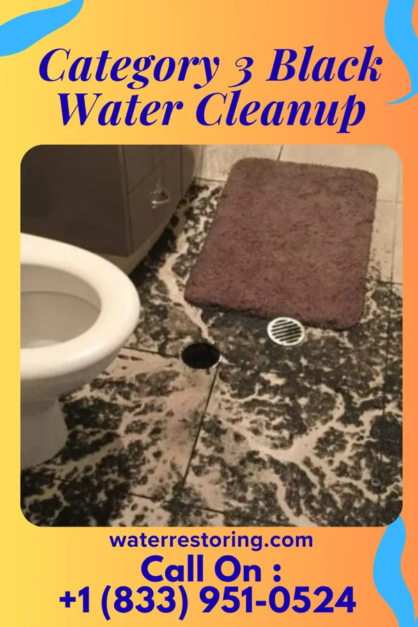 Category 3 Black Water Cleanup in West Jefferson, OH