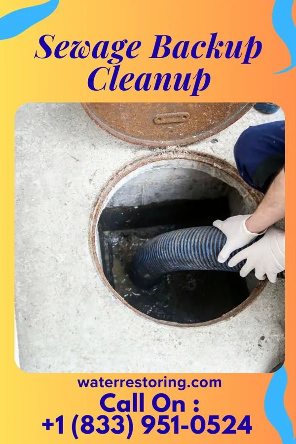 Sewage Backup Cleanup in West Jefferson, OH