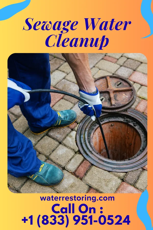 Sewage Water Cleanup in West Jefferson, OH